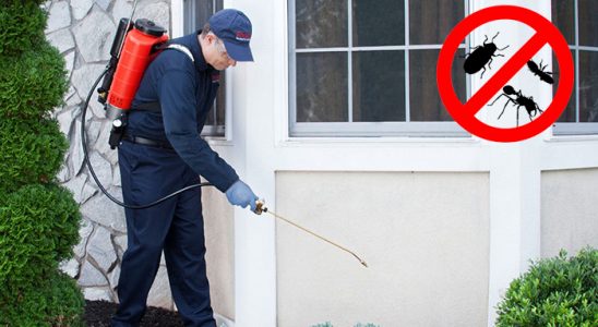 Alucra Akrep İlaçlama böcek ilaçlama ve haşere kontrolü — ilaclama-tr.com